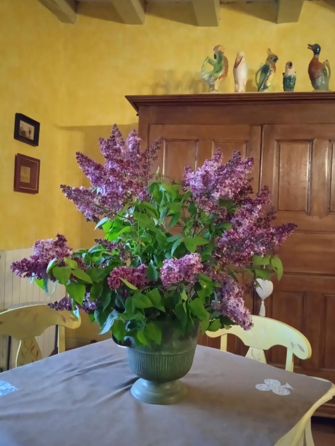 chambre dans Prieuré de caractère XVIII siècle Planioles Esterno foto